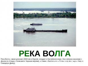 РЕКА ВОЛГА Река Волга, самая длинная (3694 км) в Европе, впадает в Каспийское мо