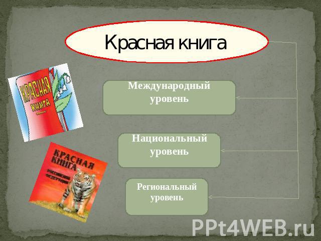 Красная книга Международный уровень Национальный уровень Региональный уровень