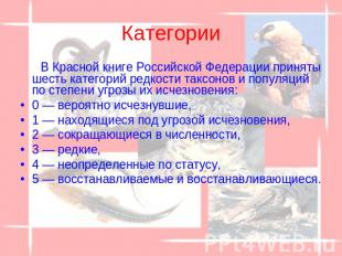 Категории В Красной книге Российской Федерации приняты шесть категорий редкости