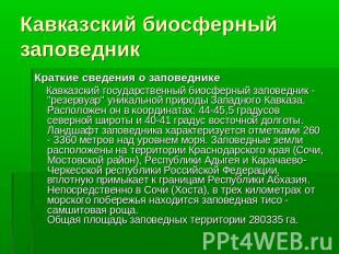 Кавказский биосферный заповедник Краткие сведения о заповеднике Кавказский госуд