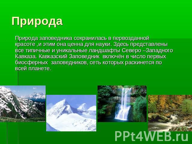 Природа Природа заповедника сохранилась в первозданной красоте ,и этим она ценна для науки. Здесь представлены все типичные и уникальные ландшафты Северо –Западного Кавказа. Кавказский Заповедник включён в число первых биосферных заповедников, сеть …