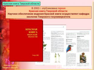 Красная книга Тверской области В 2002 г. опубликована первая Красная книга Тверс