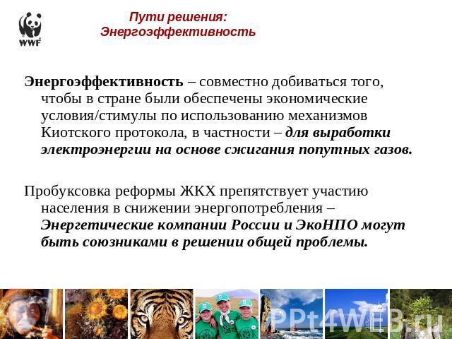 Пути решения: Энергоэффективность Энергоэффективность – совместно добиваться того, чтобы в стране были обеспечены экономические условия/стимулы по использованию механизмов Киотского протокола, в частности – для выработки электроэнергии на основе сжи…