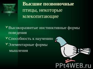 Высшие позвоночныептицы, некоторые млекопитающие Высокоразвитые инстинктивные фо