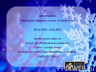 ПРОГРАММА«Новогодние каникулы» в отеле «Свежий ветер»30.12.2010 - 2.01.2011Незаб