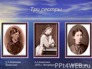 Три сестры Е.А.Бекетова(Краснова) А.А.Бекетова.1878 г. Петербург М.А.Бекетова