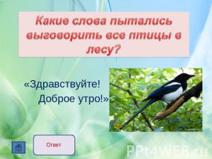 Какие слова пытались выговорить все птицы в лесу? «Здравствуйте! Доброе утро!»