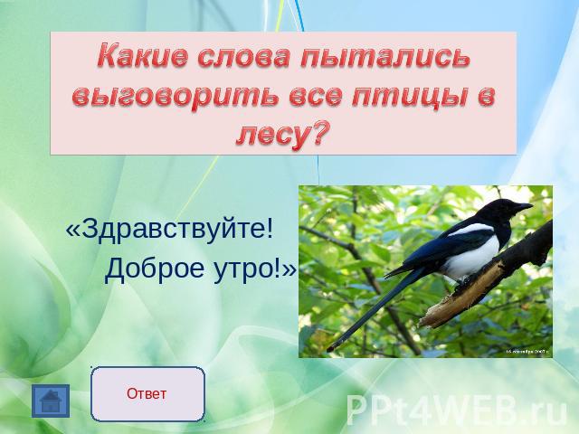 Какие слова пытались выговорить все птицы в лесу? «Здравствуйте! Доброе утро!»