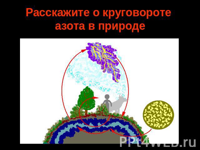 Расскажите о круговороте азота в природе