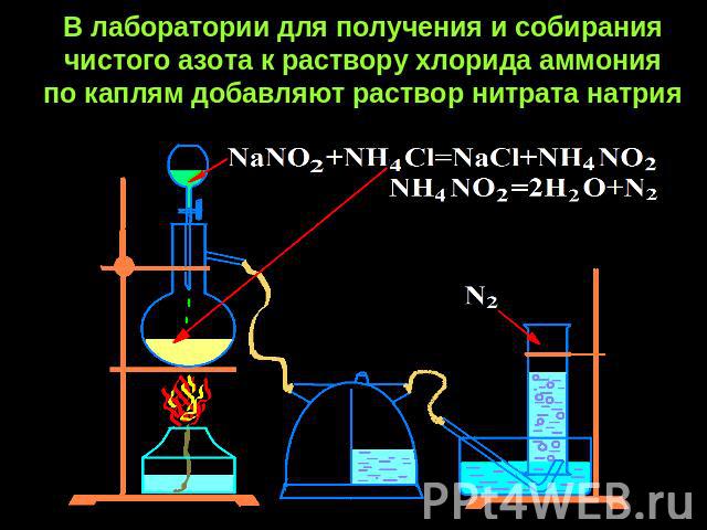 В лаборатории для получения и собирания чистого азота к раствору хлорида аммонияпо каплям добавляют раствор нитрата натрия