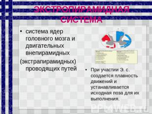 ЭКСТРОПИРАМИДНАЯ СИСТЕМА система ядер головного мозга и двигательных внепирамидн