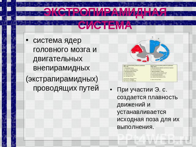 ЭКСТРОПИРАМИДНАЯ СИСТЕМА система ядер головного мозга и двигательных внепирамидных (экстрапирамидных) проводящих путей При участии Э. с. создается плавность движений и устанавливается исходная поза для их выполнения.