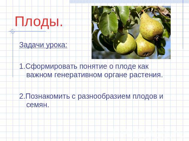 Задачи урока: Задачи урока: 1.Сформировать понятие о плоде как важном генеративном органе растения. 2.Познакомить с разнообразием плодов и семян.
