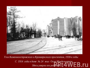 Угол Каменноостровского и Кронверкского проспектов, 1930-е годы С 1914  года в д