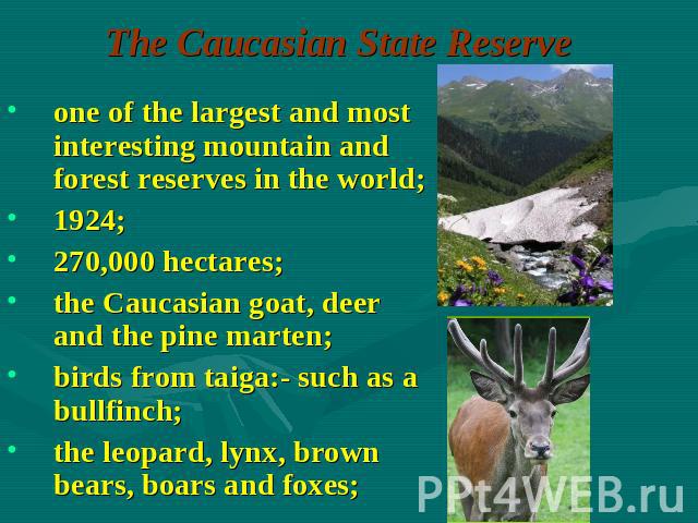 The Caucasian State Reserve one of the largest and most interesting mountain and forest reserves in the world;1924;270,000 hectares;the Caucasian goat, deer and the pine marten;birds from taiga:- such as a bullfinch; the leopard, lynx, brown bears, …