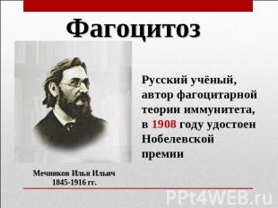 Фагоцитоз Мечников Илья Ильич1845-1916 гг. Русский учёный, автор фагоцитарной те