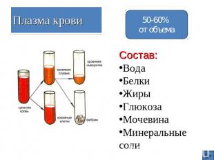 Плазма крови 50-60% от объема Состав:ВодаБелкиЖирыГлюкозаМочевинаМинеральные сол