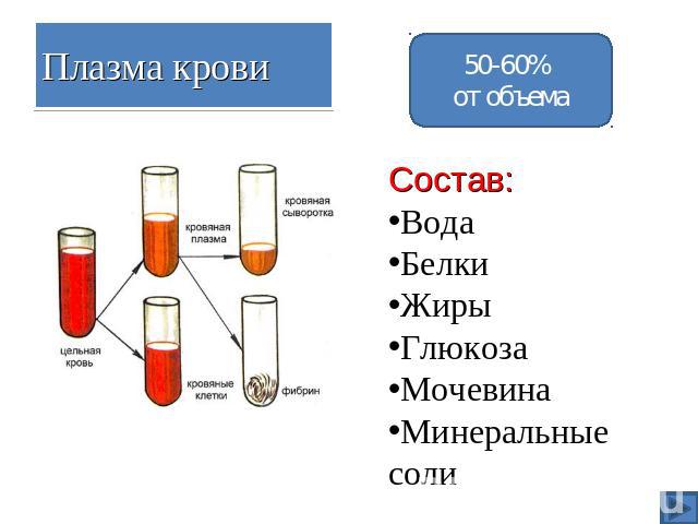 Плазма крови 50-60% от объема Состав:ВодаБелкиЖирыГлюкозаМочевинаМинеральные соли