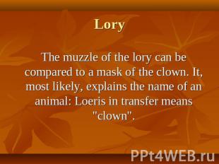 The muzzle of the lory can be compared to a mask of the clown. It, most likely,