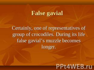 Certainly, one of representatives of group of crocodiles. During its life false