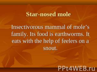 Star-nosed mole Insectivorous mammal of mole’s family. Its food is earthworms. I