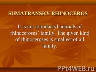 SUMATRANSKY RHINOCEROS It is not artiodactyl animals of rhinoceroses’ family. Th