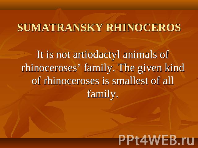 SUMATRANSKY RHINOCEROS It is not artiodactyl animals of rhinoceroses’ family. The given kind of rhinoceroses is smallest of all family.