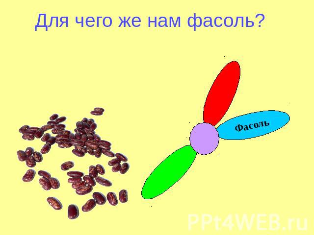 Для чего же нам фасоль?