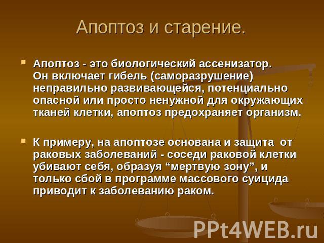 Апоптоз и старение. Апоптоз - это биологический ассенизатор. Он включает гибель (саморазрушение) неправильно развивающейся, потенциально опасной или просто ненужной для окружающих тканей клетки, апоптоз предохраняет организм.  К примеру, на апоптозе…