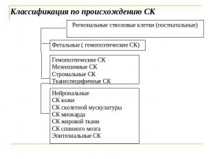 Классификация по происхождению СК