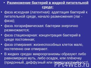 Размножение бактерий в жидкой питательной среде:фаза исходная (латентная): адапт