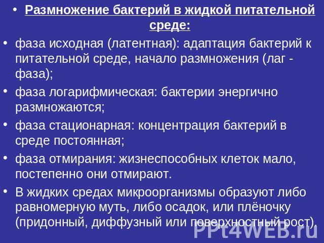 Размножение бактерий в жидкой питательной среде:фаза исходная (латентная): адаптация бактерий к питательной среде, начало размножения (лаг - фаза);фаза логарифмическая: бактерии энергично размножаются;фаза стационарная: концентрация бактерий в среде…