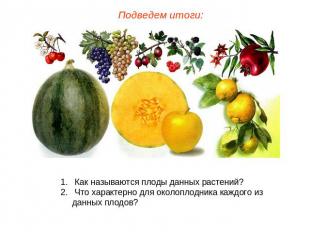 Подведем итоги: Как называются плоды данных растений? Что характерно для околопл