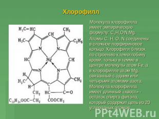 Хлорофилл Молекула хлорофилла имеет эмпирическую формулу: С55Н72О5N4Мg. Атомы С,
