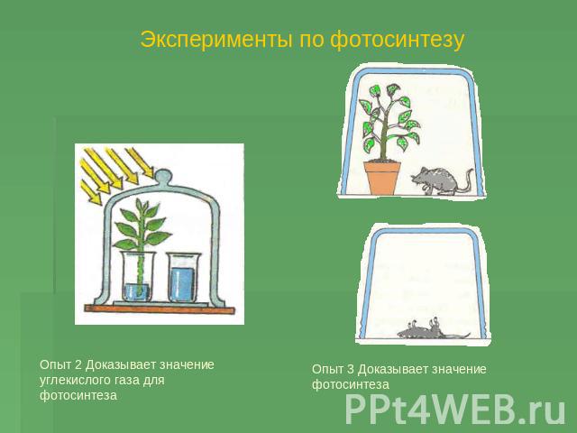 Эксперименты по фотосинтезу Опыт 2 Доказывает значение углекислого газа для фотосинтеза Опыт 3 Доказывает значение фотосинтеза