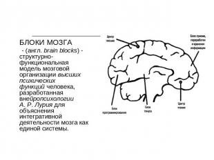 БЛОКИ МОЗГА - (англ. brain blocks) - структурно-функциональная модель мозговой о