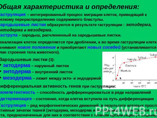 Общая характеристика и определения: Гаструляция – интегрированный процесс миграции клеток, приводящий к резкому перераспределению содержимого бластулы.Зародышевые листки образуются в результате гаструляции : эктодерма, энтодерма и мезодерма.Гаструла…