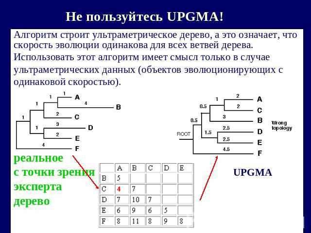 Не пользуйтесь UPGMA! Алгоритм строит ультраметрическое дерево, а это означает, что скорость эволюции одинакова для всех ветвей дерева.Использовать этот алгоритм имеет смысл только в случае ультраметрических данных (объектов эволюционирующих содинак…