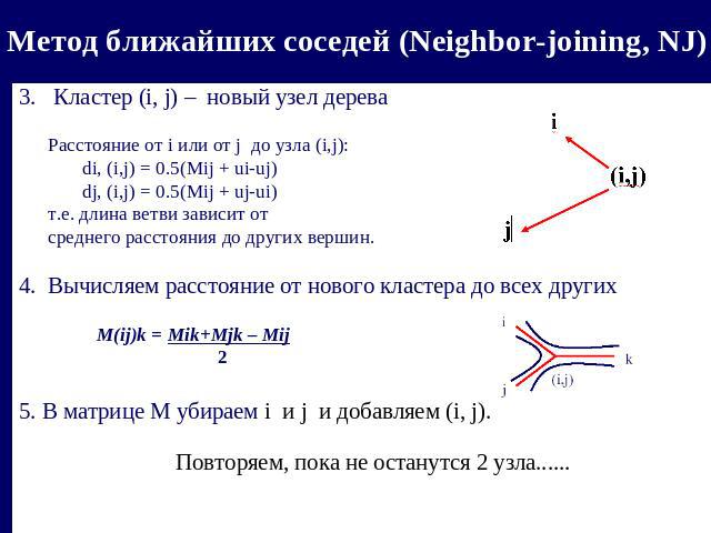 Метод ближайших соседей (Neighbor-joining, NJ) 3. Кластер (i, j) – новый узел дерева Расстояние от i или от j до узла (i,j): di, (i,j) = 0.5(Mij + ui-uj) dj, (i,j) = 0.5(Mij + uj-ui) т.е. длина ветви зависит от среднего расстояния до других вершин.4…