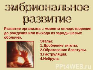 эмбриональноеразвитие Развитие организма с момента оплодотворениядо рождения или