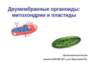 Двумембранные органоиды:митохондрии и пластиды Презентация подготовленадоцентом