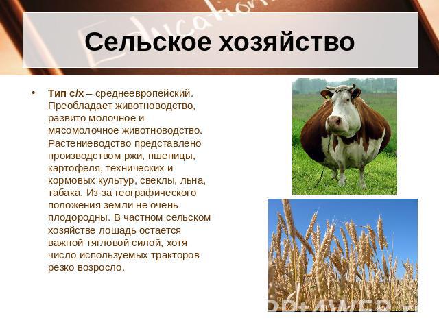 Сельское хозяйство Тип с/х – среднеевропейский. Преобладает животноводство, развито молочное и мясомолочное животноводство. Растениеводство представлено производством ржи, пшеницы, картофеля, технических и кормовых культур, свеклы, льна, табака. Из-…
