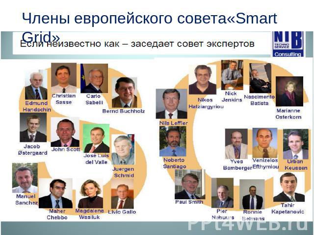 Члены европейского совета«Smart Grid»
