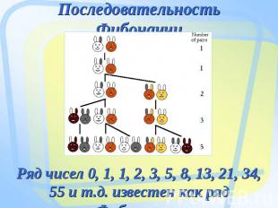 Последовательность Фибоначчи Ряд чисел 0, 1, 1, 2, 3, 5, 8, 13, 21, 34, 55 и т.д