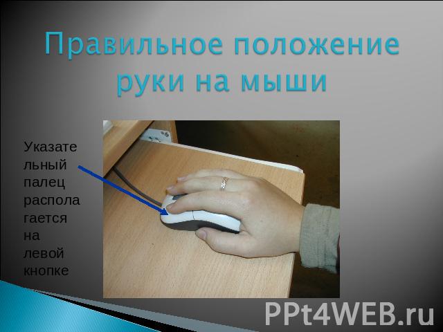 Правильное положение руки на мыши Указательный палец располагается на левой кнопке