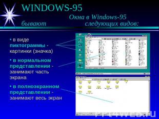 WINDOWS-95 Окна в Windows-95 бывают следующих видов: в виде пиктограммы - картин