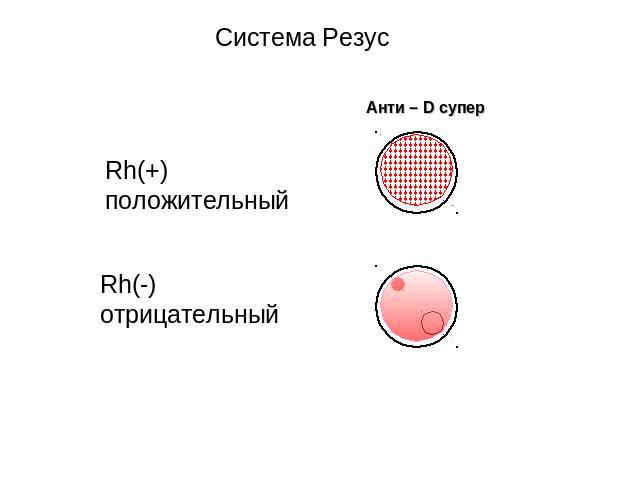 Система Резус Анти – D супер Rh(+) положительный Rh(-) отрицательный