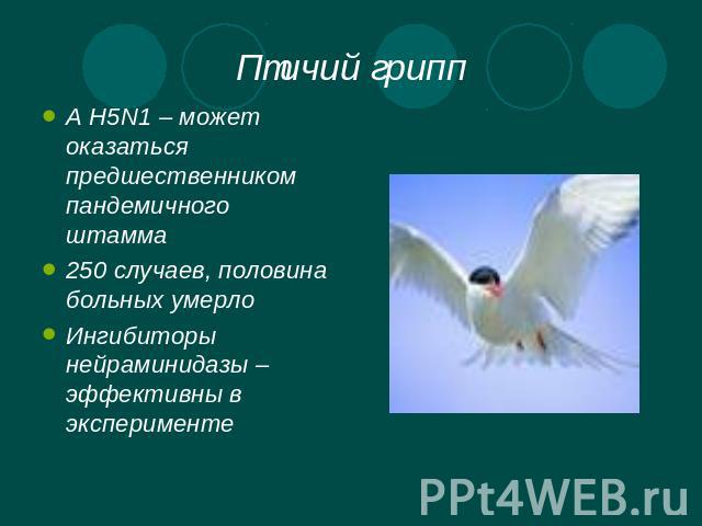 Птичий грипп А Н5N1 – может оказаться предшественником пандемичного штамма250 случаев, половина больных умерлоИнгибиторы нейраминидазы – эффективны в эксперименте