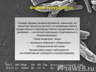 Формы туберкулёза Помимо формы (инфильтративной, язвенной), по характеру процесс