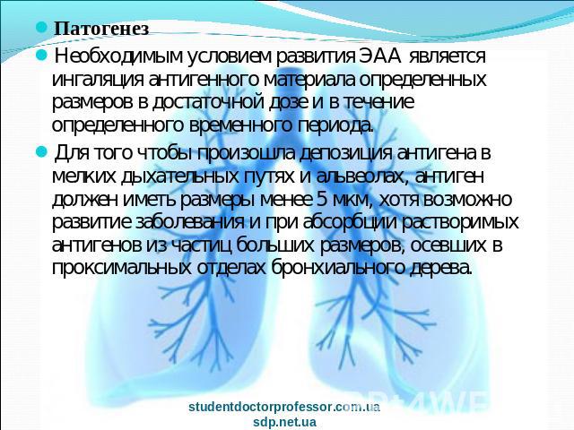 Патогенез Необходимым условием развития ЭАА является ингаляция антигенного материала определенных размеров в достаточной дозе и в течение определенного временного периода.Для того чтобы произошла депозиция антигена в мелких дыхательных путях и альве…